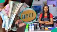 BoI pumps record N644.9bn into Nigerian businesses, supports 1.68 million jobs in one year