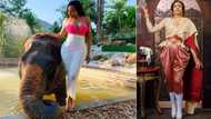 Actress Chika Ike plays with elephant by the poolside in eye-catching swimsuit (photos)