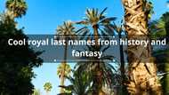 150+ cool royal last names from history and fantasy