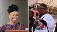 Why I supported Peter Obi to become president, Chimamanda Adichie reveals in latest interview