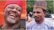 Melaye, Abbo bag juicy positions as full list of Senate committee chairmen, vice chairmen is released (see list)