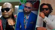 Charly Boy bus stop renamed to Baddo bus stop? Noble Igwe weighs in on the trending report