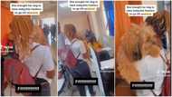 "I pray I never get this kind friend": Beautiful lady takes her dog to class, carries pet like baby