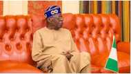 Breaking: Presidential tribunal rejects Bola Tinubu, APC’s applications in case versus opposition