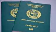 Nigeria's U.S. Embassy, consulates send crucial message to passport applicants over fake website