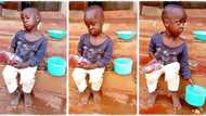 "Double tragedy": Young boy sleeps off while sitting on veranda, pours away his soft drink and plate of food