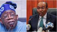 Tinubu's spokesman sends strong message to DSS as CBN Gov Emefiele allegedly plans to flee Nigeria before May 29