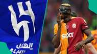 Osimhen's camp tells truth why striker turned down massive offer from Al Hilal