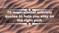 75 inspirational sobriety quotes to help you stay on the right path