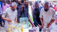 Lagos LG election: Why Nigeria is not ready for electronic transmission of results - Femi Gbajabiamila