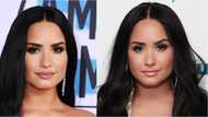 Internet users express disgust after singer Demi Lovato said she's working on song about America's democracy