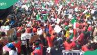 Breaking: Tension as NLC shuts Labour Party secretariat, details emerge