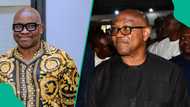 Did Fayose say Peter Obi will sack Tinubu in 2027 election? Fact emerges