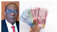 Under-probe CBN pumps N2.60 trillion into circulation, up by 88% in 6 months