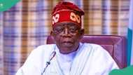 N720 per litre: FG denies reinstating fuel subsidy as fuel stations shut down