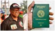 Japa: Peter Obi Speaks on Plans to Improve Ranking of Nigerian Passport, Woo Investors