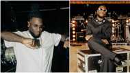 Luxury cars, Grammy nominations, mummy's boy drama, other times Burna Boy has trended this year