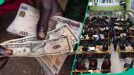 Naira depreciation cost Nigerian companies over N2 trillion in foreign exchange losses