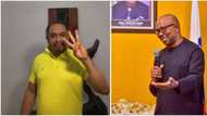 Zombidients and Obidiots: Daddy Freeze sparks public outrage with his classification of Peter Obi supporters