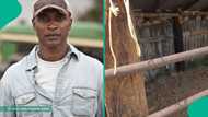 Farmer shares what he discovered after setting live trap in his farm, video gets attention online