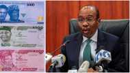 New twist as Ohanaeze, Yoruba Youth Council back CBN’s withdrawal limit policy, reveals fresh position