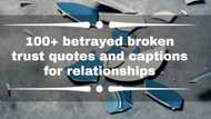 100+ betrayed broken trust quotes and captions for relationships