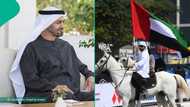 UAE lists 7 required documents foreigners must submit before applying for visit visa