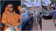 "Davido has them all": Wizkid gives fans sneak peek of his garage, Bentley, Rolls Royce, other cool cars spotted