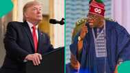 Did US President-elect Donald Trump ask Tinubu's govt to release IPOB leader Nnamdi Kanu?