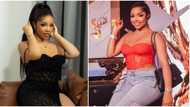 "Make una leave 20s this year": Reactions as Nengi breaks the internet with racy photos for 25th birthday
