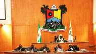Breaking: Lagos Assembly passes Amotekun bill into law