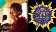 WAEC 2026: Family seeks scholarship for Nigerian girl who passed exam in flying colours