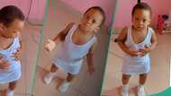 Little girl speaks gibberish to her mum in funny video, people react