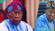 Just in: President Tinubu told to sack Ganduje, APC reacts