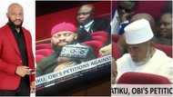 Yul Edochie, Zack Orji, others spotted at presidential election petitions tribunal, video sparks reactions