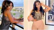 Davido’s baby mama Sophia Momodu shares video from non-surgical liposuction procedure to remove fat