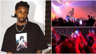 "Soso take my pain away": Oyinbo crowd go 'gaga', jump, sing as Omah Lay performs