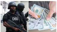 DSS move to interrogate bank CEOs over foreign exchange allocations dating back to 2017