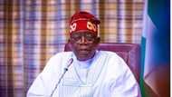 Alleged rigging: Fresh twist as tribunal admits EU's report faulting Tinubu's election