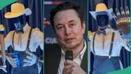 Elon Musk's Tesla shows robots that can serve drinks, do human tasks on their own: "They can talk"