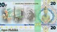 Promoters of Oduduwa Republic unveil new currency, details and photo emerge