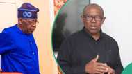 Peter Obi petitioned US court over Tinubu? LP spokesperson opens up