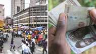 Naira falls to a new low against Dollar, Euro, Pound at official market as politics takes centre stage