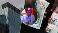 JP Morgan predicts naira to dollar exchange rate by December as FG targets N650 a dollar