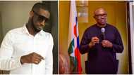 2023 Elections: Singer Peter Okoye blows hot, says 'cabals' want to hinder Obi presidency, Nigerians react