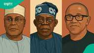 Who will win the 2027 presidential election in Nigeria? We asked ChatGPT