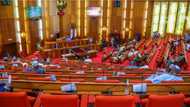 15 APC senators take decision on defection ahead of 2023