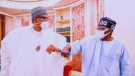 APC primary: Tinubu clarifies Abeokuta comments, restates his respect for Buhari