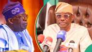 2027 election: Is PDP faction pushing Wike to run against Tinubu? Aide speaks