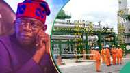 "Excessive deductions": Tinubu scraps NNPC's 30% management fee on profit oil, gas, gives reasons